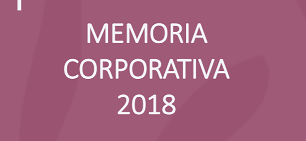 8. Memoria corporativa 2018 LISTA