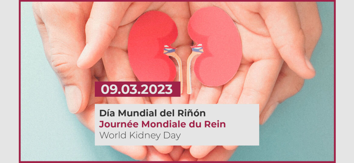 Kidney-Day